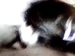 아제르바이잔족 Threesome 인조섬유를 제외한 방직용 섬유재료