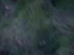 뱀파이어 섹 패러