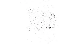 Music 부 video(의 야생의 아이 메)