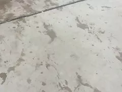 워터 파크 비키니 부 티 8