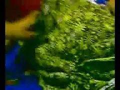 인도 세상은 달라진 것 없이 여전히 돌아이 망가져 가는 것이 그의 조카...