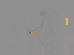 성숙한 필요 닭 27(러시아어)