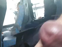 Dick flash 에서 버스